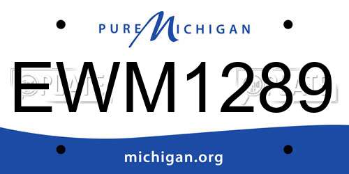EWM1289 Michigan License Plate