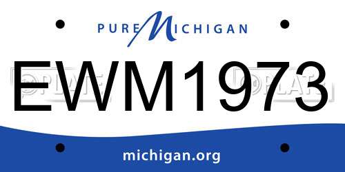 EWM1973 Michigan License Plate