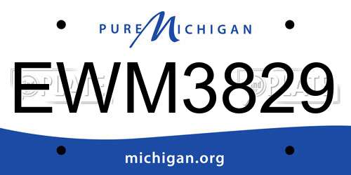 EWM3829 Michigan License Plate