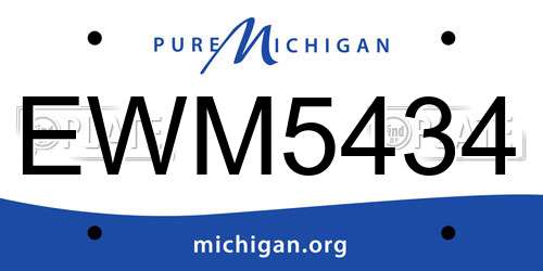 EWM5434 Michigan License Plate