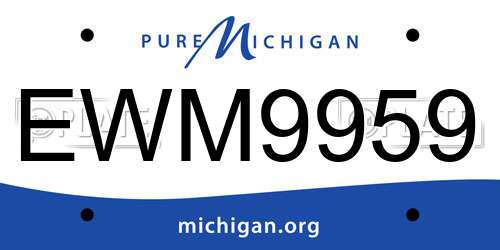 EWM9959 Michigan License Plate