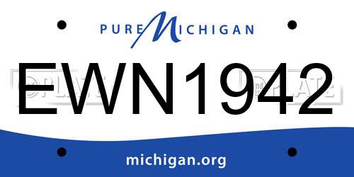 EWN1942 Michigan License Plate