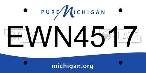 EWN4517 Michigan License Plate