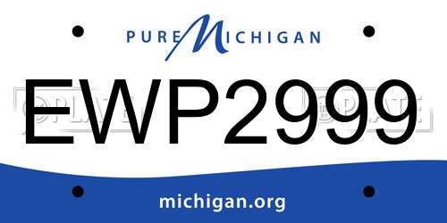 EWP2999 Michigan License Plate