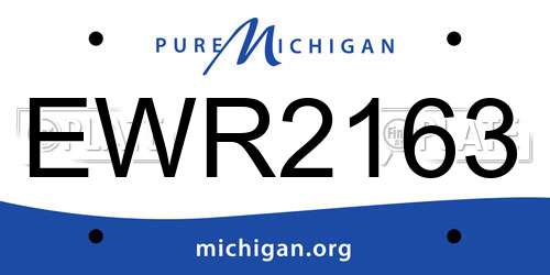 EWR2163 Michigan License Plate
