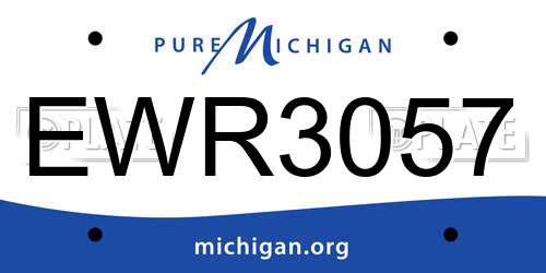 EWR3057 Michigan License Plate
