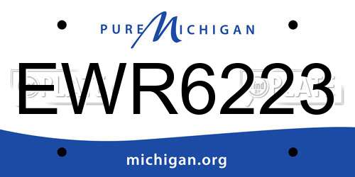 EWR6223 Michigan License Plate