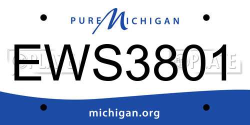 EWS3801 Michigan License Plate