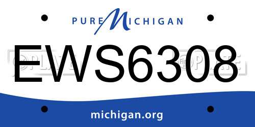 EWS6308 Michigan License Plate