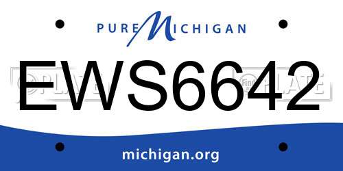 EWS6642 Michigan License Plate