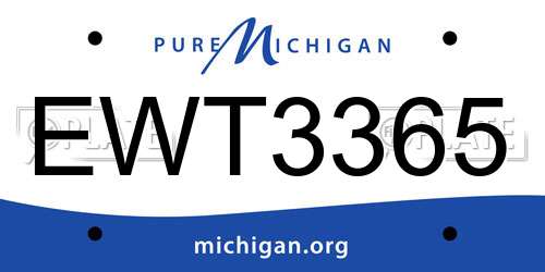 EWT3365 Michigan License Plate