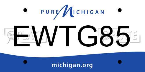 EWTG85 Michigan License Plate