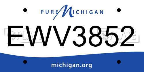 EWV3852 Michigan License Plate