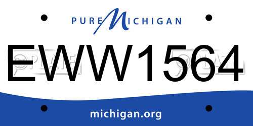 EWW1564 Michigan License Plate