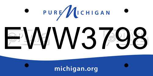 EWW3798 Michigan License Plate