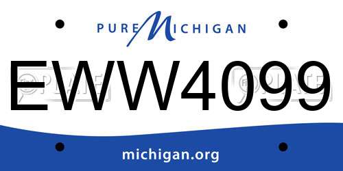 EWW4099 Michigan License Plate