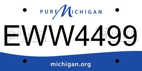 EWW4499 Michigan License Plate