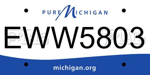 EWW5803 Michigan License Plate
