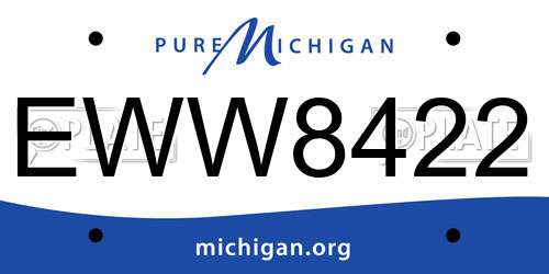EWW8422 Michigan License Plate