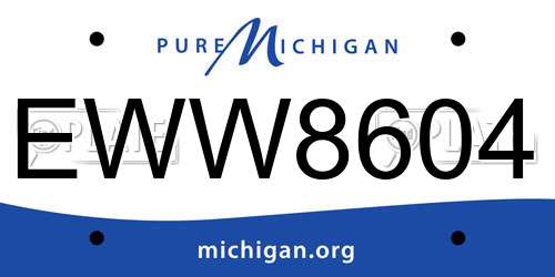 EWW8604 Michigan License Plate