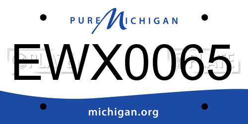 EWX0065 Michigan License Plate