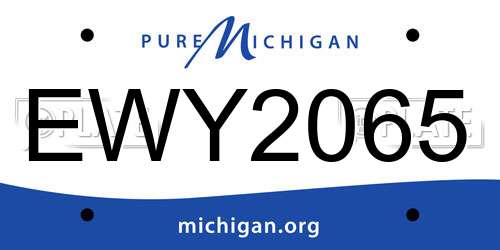EWY2065 Michigan License Plate