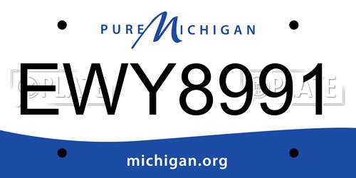 EWY8991 Michigan License Plate