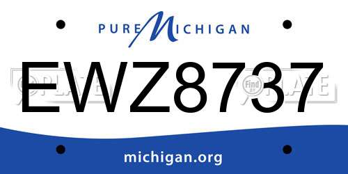 EWZ8737 Michigan License Plate
