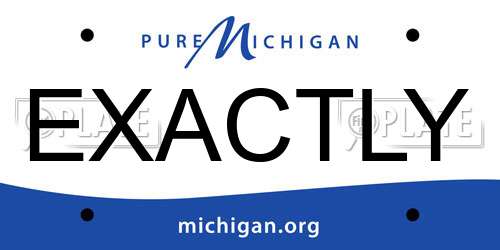 EXACTLY Michigan License Plate