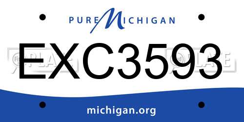 EXC3593 Michigan License Plate