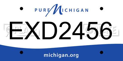 EXD2456 Michigan License Plate