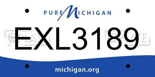 EXL3189 Michigan License Plate