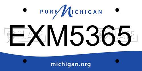 EXM5365 Michigan License Plate