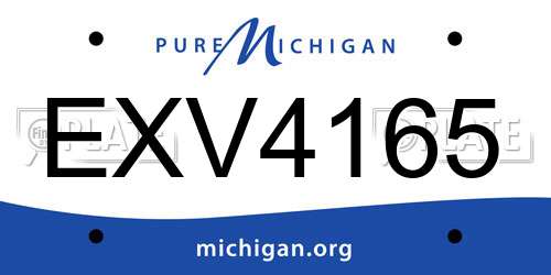 EXV4165 Michigan License Plate