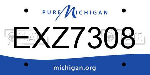 EXZ7308 Michigan License Plate