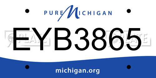 EYB3865 Michigan License Plate