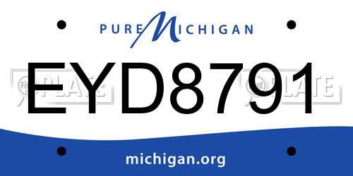EYD8791 Michigan License Plate