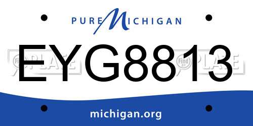 EYG8813 Michigan License Plate