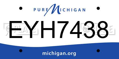 EYH7438 Michigan License Plate
