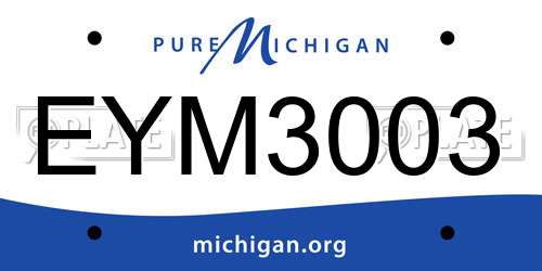 EYM3003 Michigan License Plate