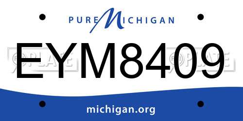 EYM8409 Michigan License Plate