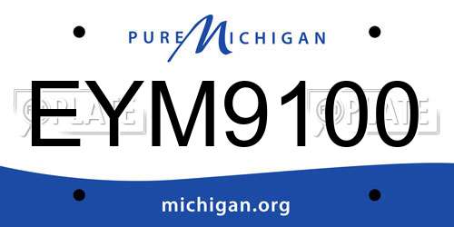 EYM9100 Michigan License Plate