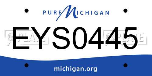 EYS0445 Michigan License Plate