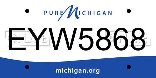 EYW5868 Michigan License Plate