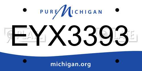 EYX3393 Michigan License Plate