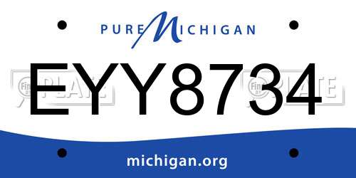 EYY8734 Michigan License Plate
