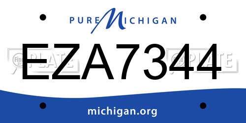 EZA7344 Michigan License Plate