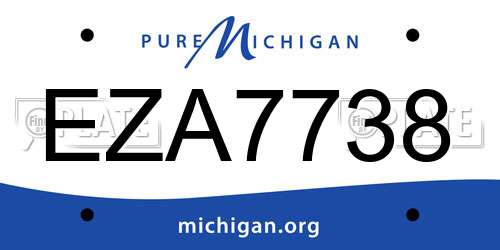 EZA7738 Michigan License Plate