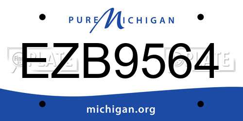 EZB9564 Michigan License Plate