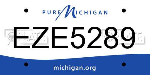 EZE5289 Michigan License Plate